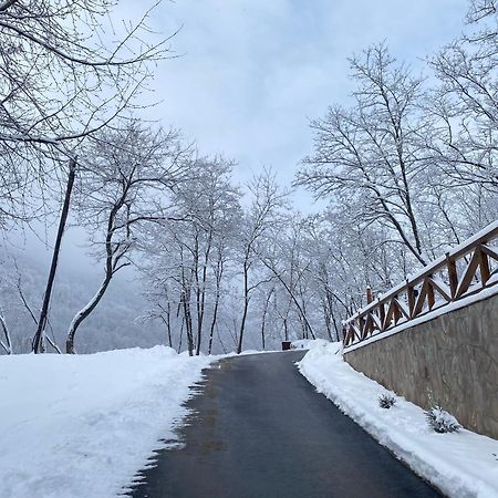 Kuca Za Odmor ,,Balkan” Crni Vrh Екстер'єр фото