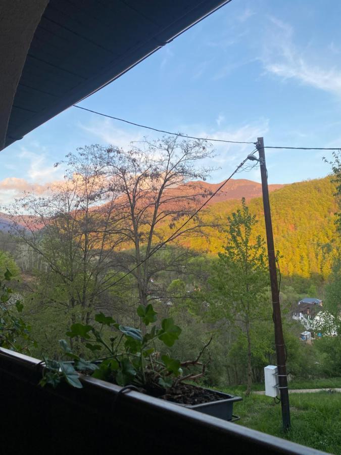 Kuca Za Odmor ,,Balkan” Crni Vrh Екстер'єр фото